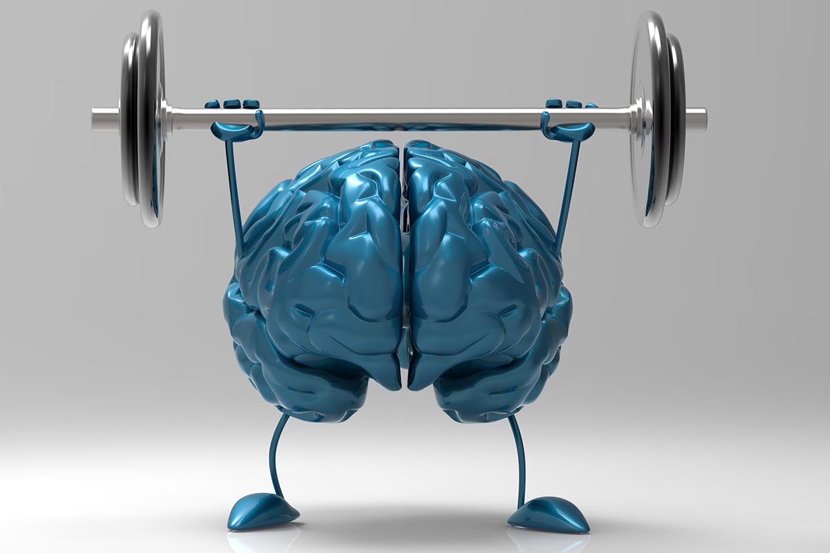 Как развить связь мозг мышцы в бодибилдинге. От электрического сигнала до движения