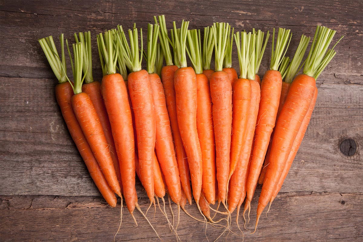 Продукты с витамином А — морковь