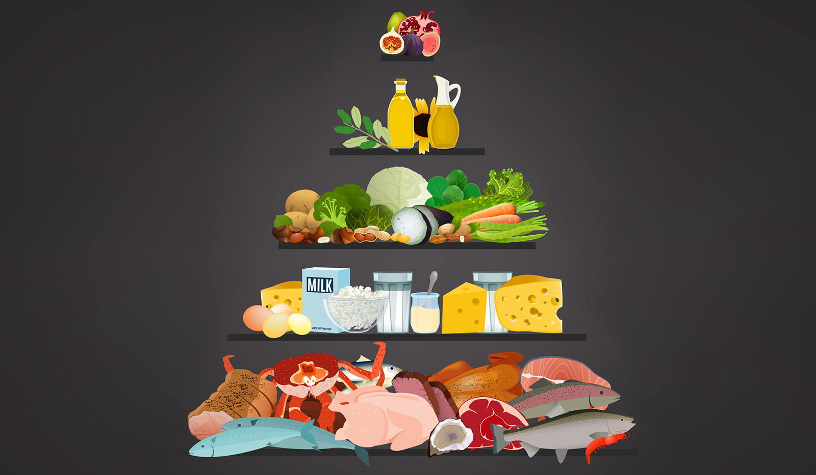 продукты входящие в белковую диету