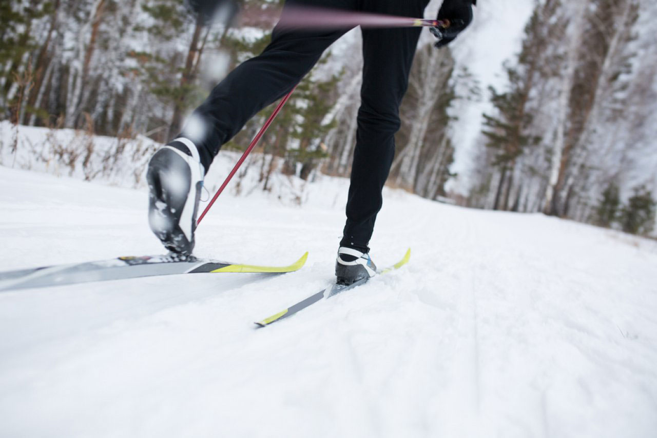 Беговые лыжи — какие мышцы работают?