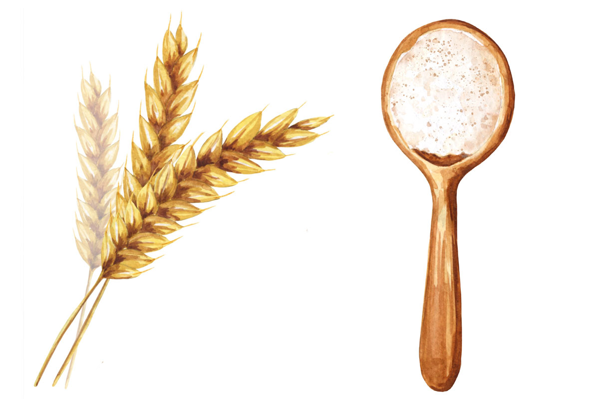 Гликемический индекс муки — пшеничная