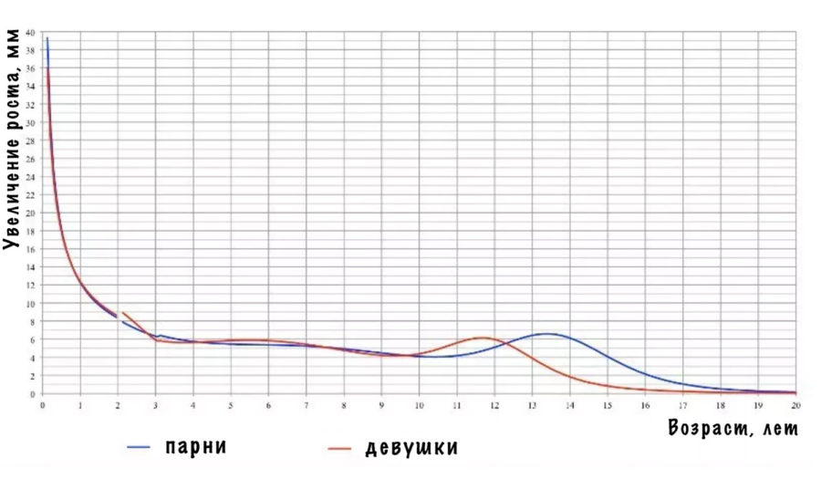 Как увеличить рост на фото