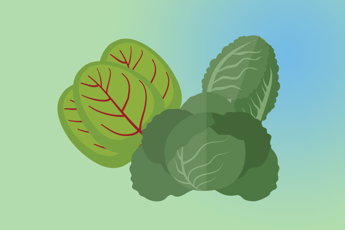 Полезная еда при диабете — листовые овощи