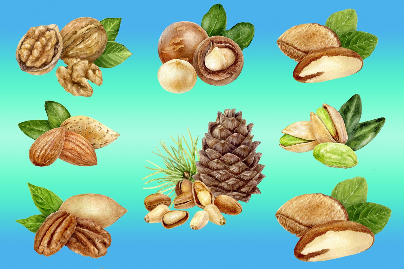 Какие орехи лучше при диабете?