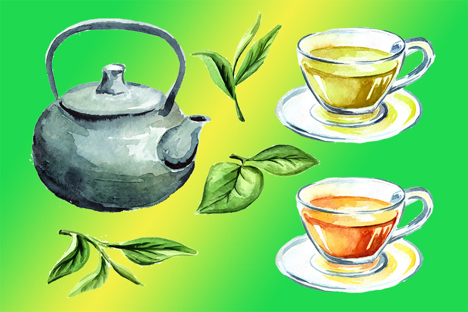 Зелёный чай — чем полезнее чёрного?