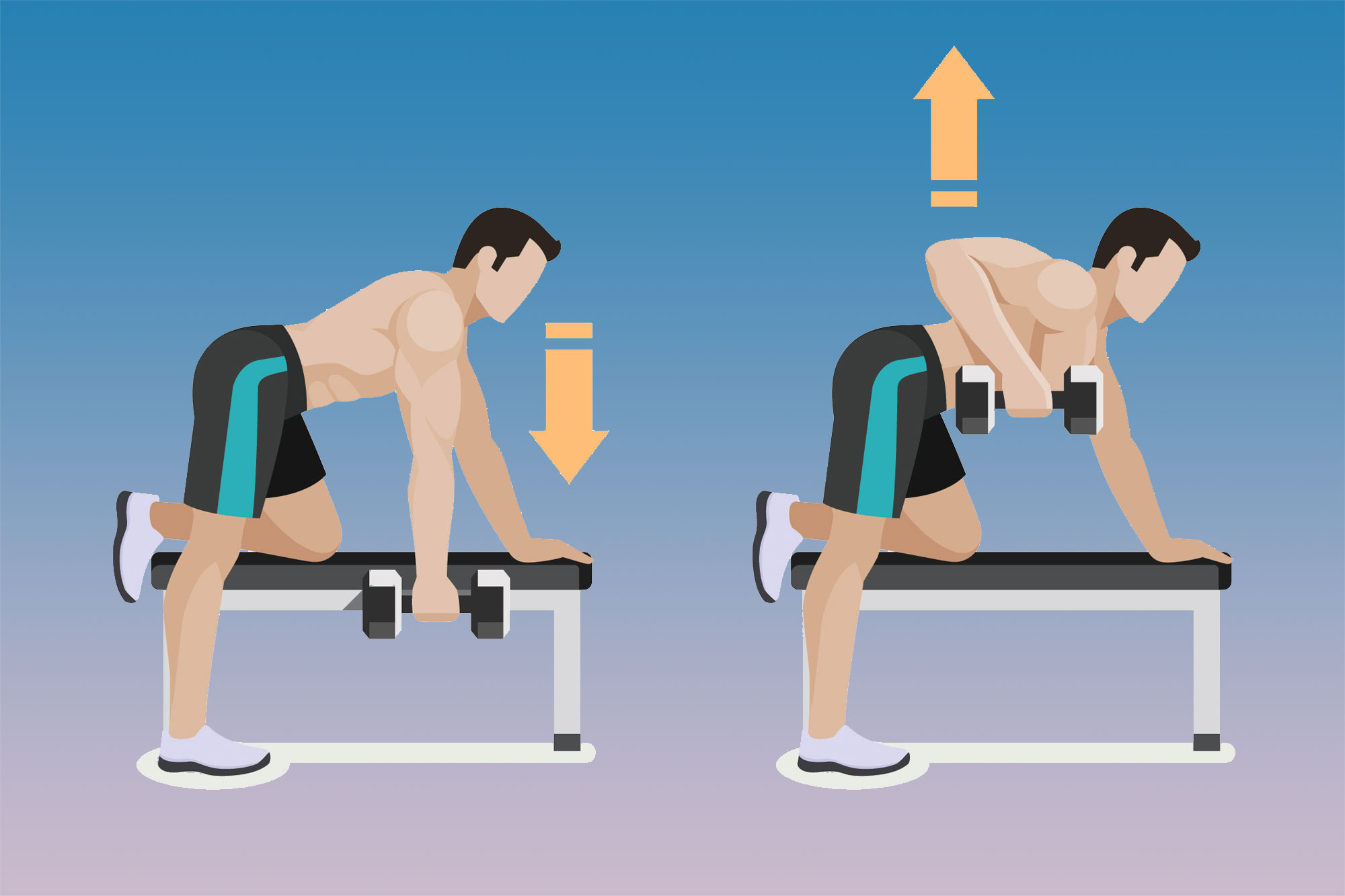 Упражнения на широчайшие мышцы спины — тяга в наклоне
