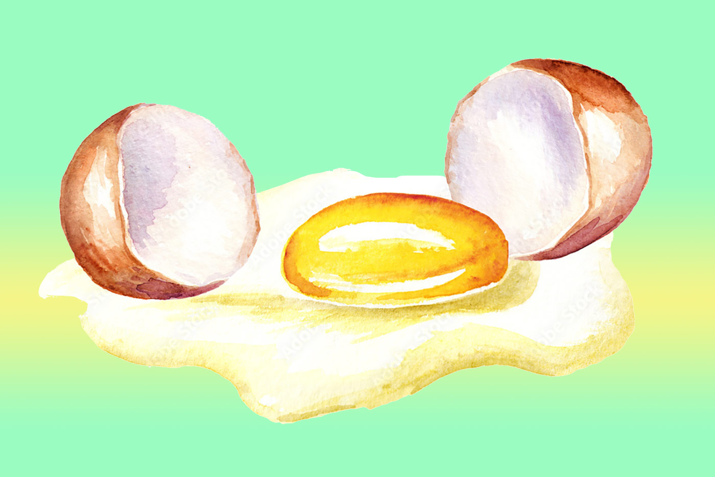 Что полезного содержат яйца?