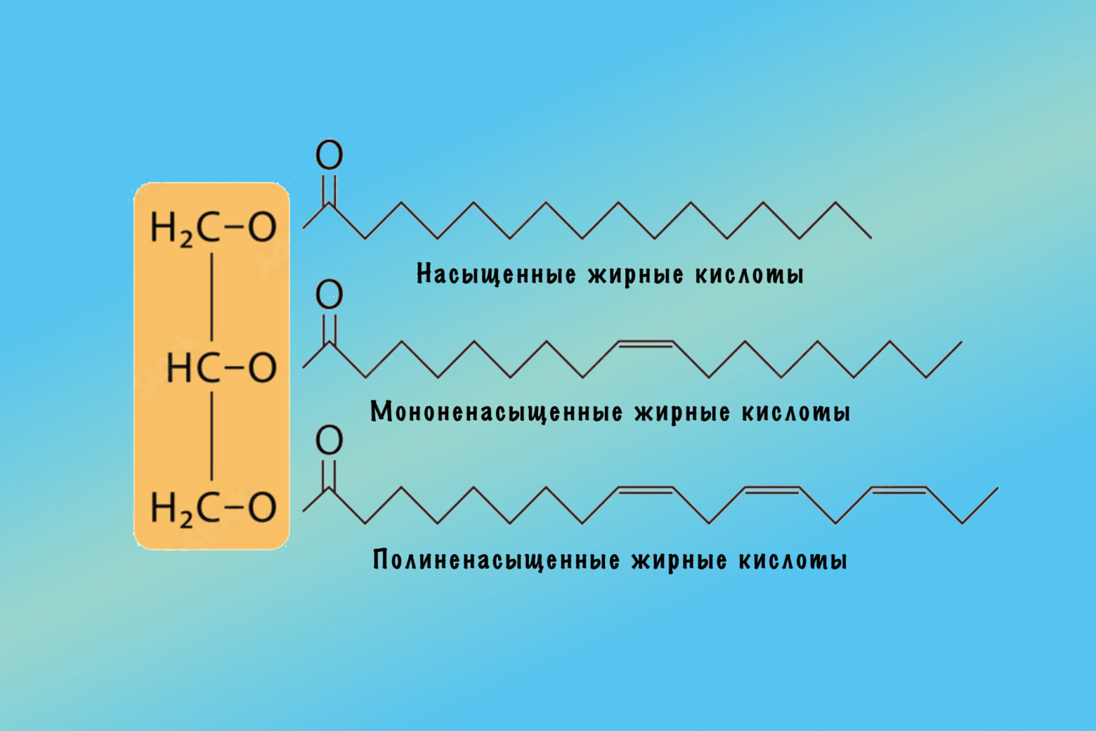 Источники насыщенных жиров ответ на тест