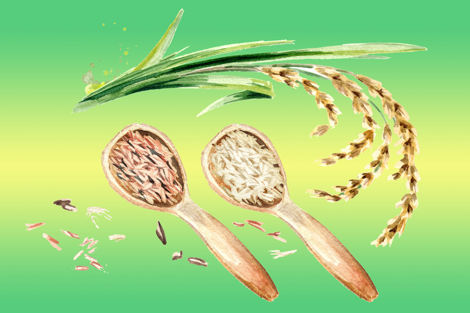 Бурый рис — откуда взялся? Состав, профиль углеводов — и как правильно варить