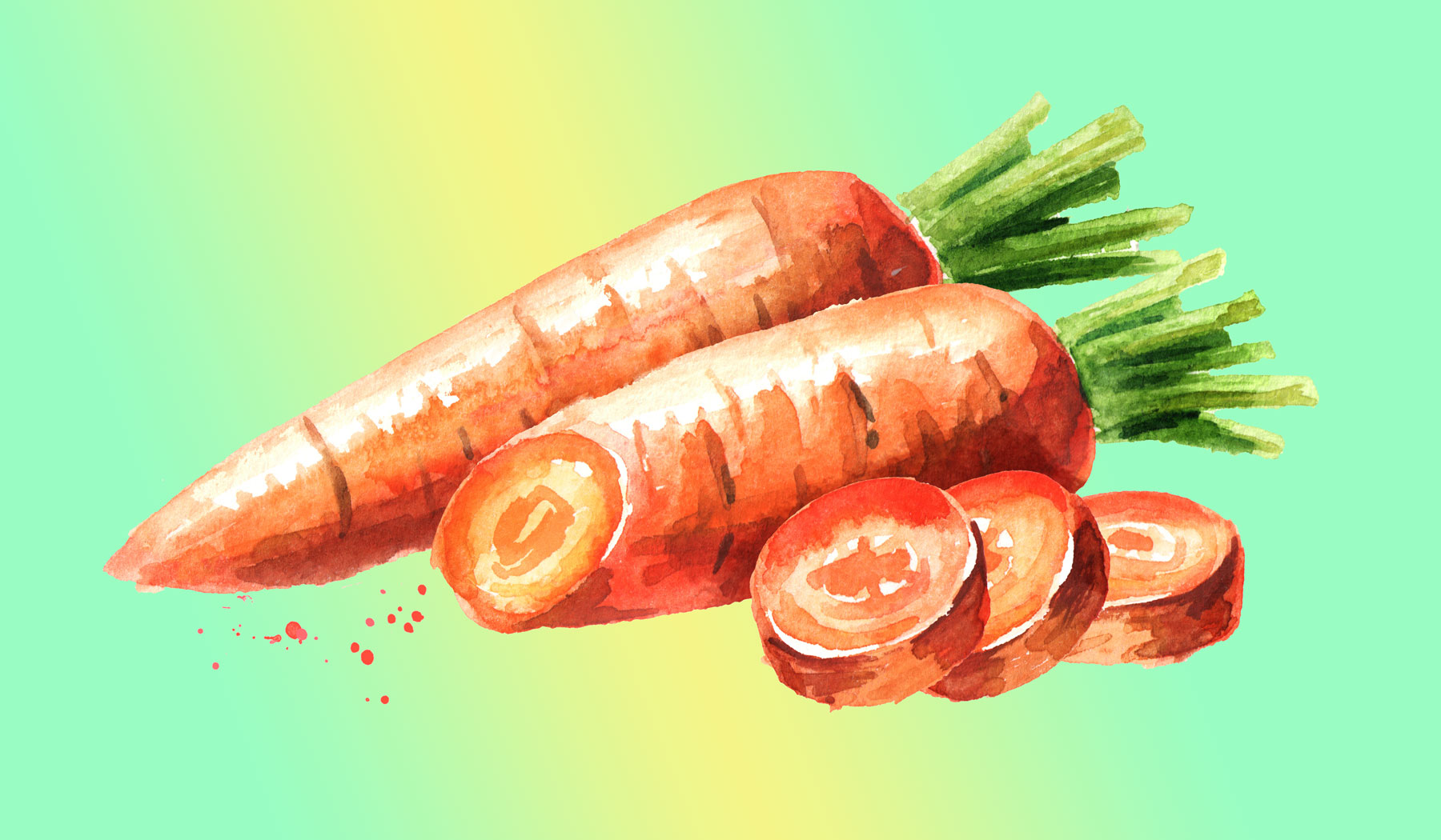 Морковь в рационе животных: корм в деталях